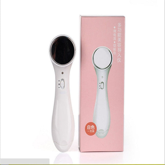 Multifunction Beauty Facial Massager